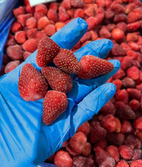 IQF (Individually Quick Frozen) whole strawberry 15-25mm - 10kg bulk packaging / EGYPT - Image 3