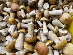 Agricultural and food products - Image 1