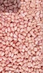 New Dried Peeled Groundnut  - Image 2