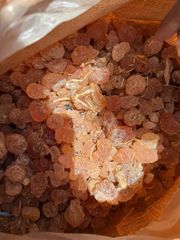 GUM Arabic acacia Senegal - Image 1