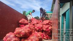 Semi Husked Coconut - Image 1
