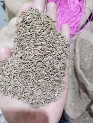 Cumin Seeds Singapore Quality Machine Clean 1% - Image 2