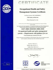 Occupational Health and Safety Management Systems Certificate certificate from CLION ELECTRIC CO., LTD.