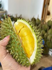 Durian – product photo 2, product detail gallery