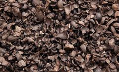 Palm Kernel Shell – product photo 2, product detail gallery