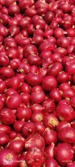 NASHIK FRESH RED ONION – product photo 1, product detail gallery