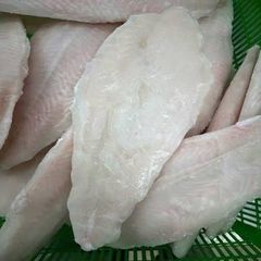 Pangasius Fish - Image 3