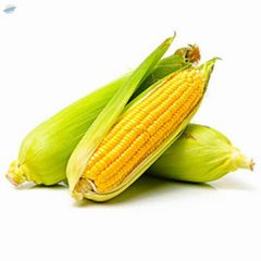 Maize – product photo 1, product detail gallery
