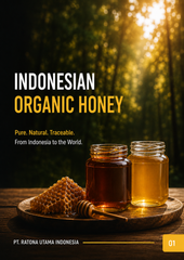 Premium Acacia crassicarpa honey - Image 1