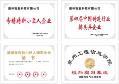 Domestic Certificate certificate of Delin Intelligent Technology Co., Ltd. – certificate photo, supplier certificates section