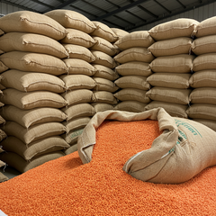 Fresh Red Lentils With Low Broken Ratio Red Lentils Ensuring Premium Quality And International Market Demand - Image 2