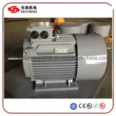 Y2-180L-4 3Phase 24HP 380V 50/60Hz IP54 IC0141 CastIron 1Y MOQ100 - Fuding Brothers Power Co., Ltd.