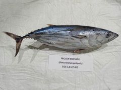 Frozen seafood – product photo 3, product detail gallery