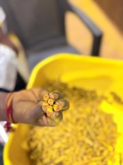 Turmeric Fingers - Image 1