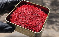 Saffron - Image 1