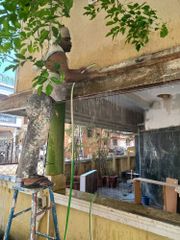 Interior And Exterior Painting Service Location Bengaluru Brands As Required Usage Indoor/Outdoor For More Info Kindly - Image 4