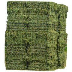 Alfalfa Hay at very cheap price / Quality Rhodes Grass Hay Alfalfa Top Quality Alfalfa Hay for Animal Feeding Stuff Alfalfa / Alfalfa Hay For Sale At Wholesale Price - Image 3