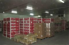 Fruit Fresh Cold Room Cold Storage - Image 3