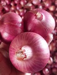 Fresh RED Onion  - Image 2