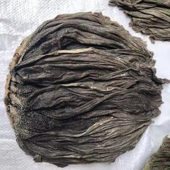 Wholesale Bulk Dry Salted Halal Beef Omasum / Frozen 100% Natural IQF Freezing Process Nutritious - Image 4