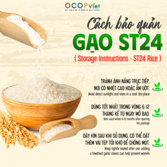 ST24 Rice - Image 3