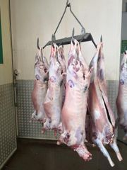 South African Lamb Origin South Africa Type Chilled and Frozen Beef Place of Origin South Africa Product Type Lamb And Mutton - Image 2