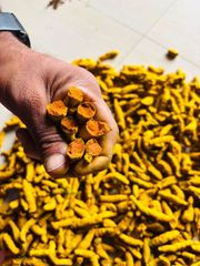 Turmeric Finger – product photo 1, product detail gallery