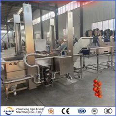 Hot Sale Automatic Factory Price OEM Customized Washing Cleaning Machine for Tomato - Image 3