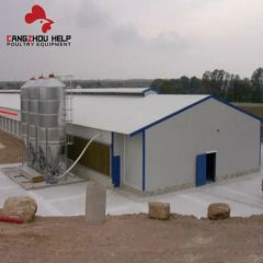 Modernization Steel Structure Building Chicken Coop for Poultry Farming - Image 3