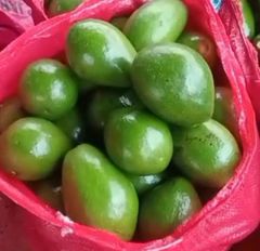 Fresh Avocado – product photo 2, product detail gallery