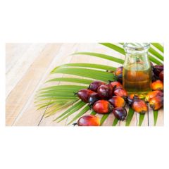  100 % Pure Palm Oil Refined palm Cooking Oil Food Oil Ukraine Cheap Price Wholesale – product photo 2, product detail gallery