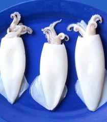 Frozen Whole Cleaned Squid | IQF | Premium Quality | Wholesale Supplier & Exporter India desticrepation - Image 3