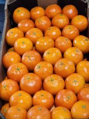 Premium Nadorcott Mandarins from South Africa!! CLASS 1 Export Quality! NEW CROPS!! - Image 3