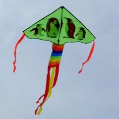 Promotion Advertising Festival National Day Fans Air Pipe Kite Wind Chime - Yangzhou D&H Textile Co., Ltd.