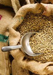 Professional Grade Green Coffee Arabica For Roasting Houses Specialty Cafes And Coffee Manufacturers Seeking Raw Beans - Image 1