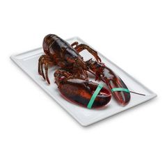 Wholesale Exporter We Sell Frozen Lobster / Live Lobster/Frozen Seafood - Image 3