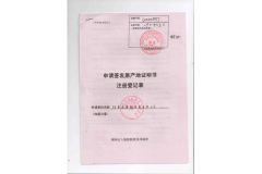 EcoSport Certificate of Origin certificate from Fujian Sport Trade Co., Ltd.