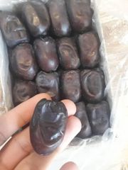 mazafati and sayer and zahedi dates - Image 1