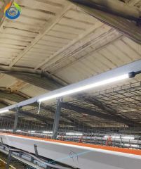 Dimmable IP67 Intelligent Poultry Farming Lighting LED Poultry Light Tube - Image 4