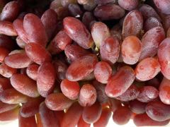 FRESH RED CRIMSON SEEDLESS GRAPES FOR SALE - CLASS 1 EXPORT QUALITY SEEDLESS GRAPES FROM SOUTH AFRICA – product photo 1, product detail gallery