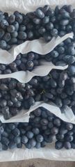 Black Seedless Autumn Royal Grapes CLASS 1 Export Quality from South Africa! NEW CROPS!! - Image 5