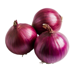 Fresh Red Onions Premium Quality Bulk Onions Supplier for Wholesale and International Export - Image 2