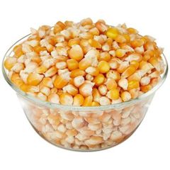 High Grade Maize Grain For Animal Feed Mills And Food Processing Businesses With Good Kernel Condition Reliable Supply - Image 1