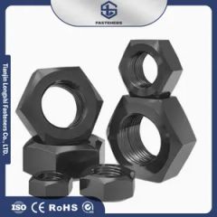 Precision Hexagonal Design Cap Locking Hex Nut for Appliance Repair - Tianjin Longshi Fasteners Co., Ltd.