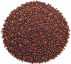 Mustard Seeds - Image 1
