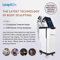 4 Handles EMS Slimming Cryolipolysis Fat Freezing EMS Muscle Stimulator Builds Muscle and Burns Fat Beauty Equipment - Qingdao Leapilov S&T Development Co., Ltd