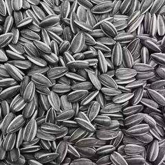 sweet potato – product photo 1, product detail gallery
