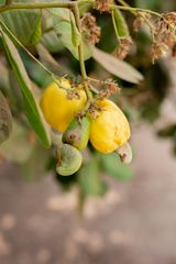 Company – thumbnail 1 of 8, supplier detail gallery