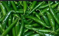 Fresh Green Chilli – product photo 1, product detail gallery