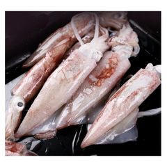 Cheap Wholesale Top Quality Frozen Whole Loligo Squid (Seafood) In Bulk - Image 1